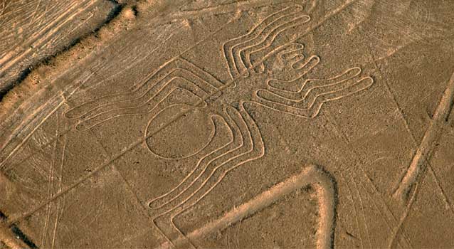 arana-las-lineas-de-nasca