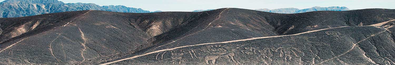 Las lineas de nasca